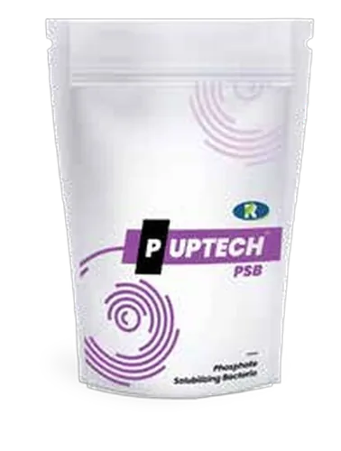 P Uptech pack